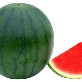 ALL_catalog_24G23_shSBN2rSsC