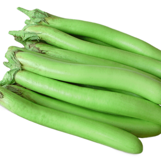 ALL_catalog_24G23_tpZjHTKUXZ