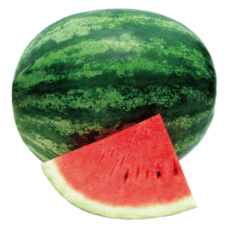 ALL_catalog_24G23_ufQWq3AbfT