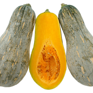 ALL_catalog_24G23_x1JY7dGcEP