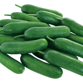 ALL_catalog_24G23_xWjZXmOlsb