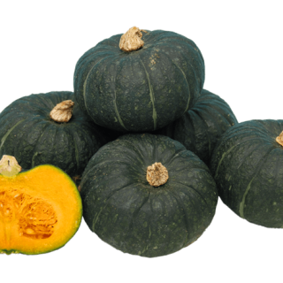 ALL_catalog_24G23_xtPhuUIBsa