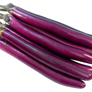 ALL_catalog_24G23_ycgPrFDkFN