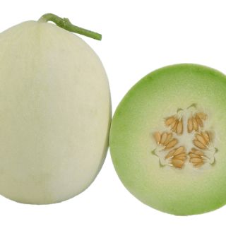 ALL_catalog_24G23_zZCrRr0zGQ