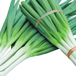 ALL_catalog_24G24_07S4RYBMkc