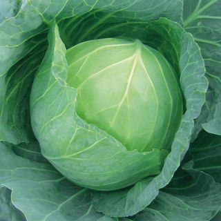 ALL_catalog_24G24_2I3wEoSR7i