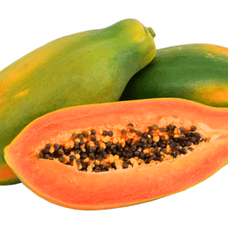 ALL_catalog_24G24_2S6aJ5wE4C