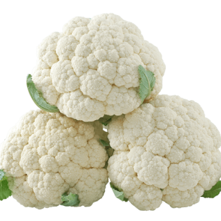 ALL_catalog_24G24_2h7ZGLTTf4