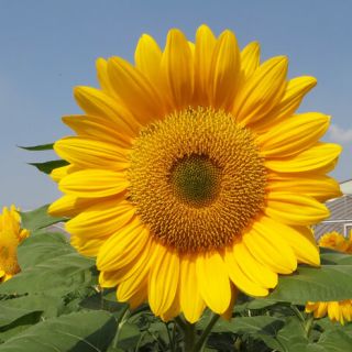 ALL_catalog_24G24_3xvWtERypj