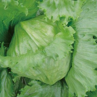 ALL_catalog_24G24_4erNmulcsB