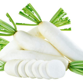 ALL_catalog_24G24_8LlQJVp5ny