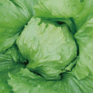 ALL_catalog_24G24_8l1y0TsUBf