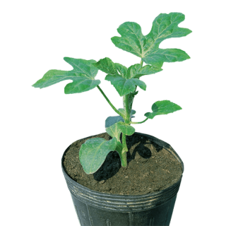 ALL_catalog_24G24_97TTHRkQxp