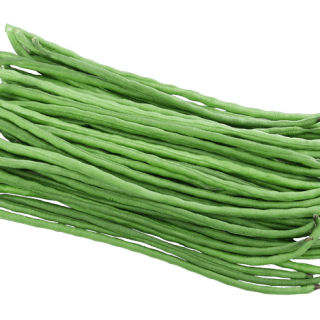 ALL_catalog_24G24_9CDbWc1R0D