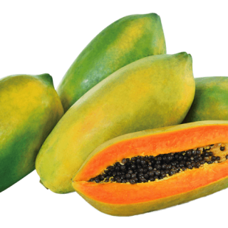 ALL_catalog_24G24_A5KfyIcG09