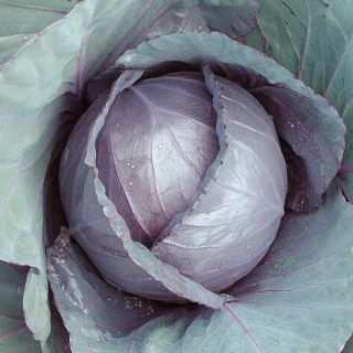 ALL_catalog_24G24_AVwiECpjcM