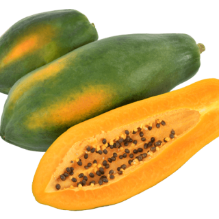 ALL_catalog_24G24_Bh6zYNv8Uy