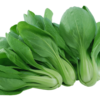 ALL_catalog_24G24_CzF6blpaNK