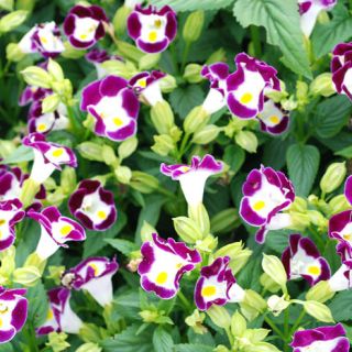 ALL_catalog_24G24_Dfz4XEeSN9