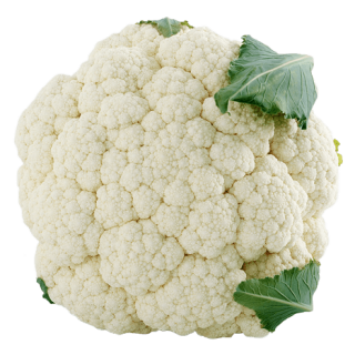 ALL_catalog_24G24_F8EC8uFo3y