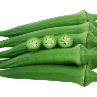 ALL_catalog_24G24_FSnSIiZAXd