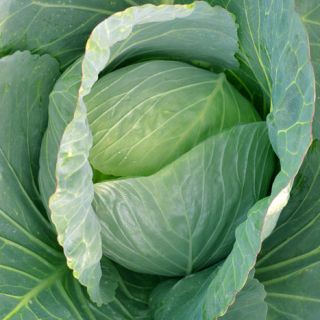 ALL_catalog_24G24_G9HK7dMlSF