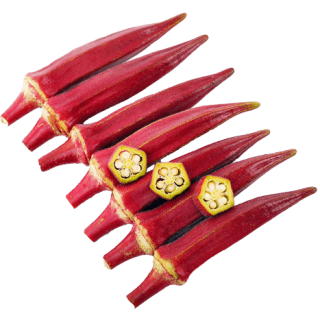 ALL_catalog_24G24_HIXMttBBcl