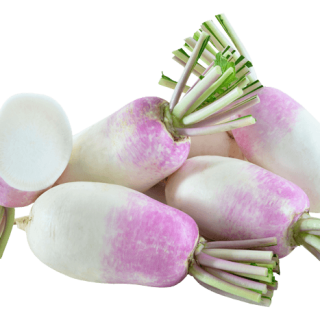 ALL_catalog_24G24_HJhJ0pkgW2