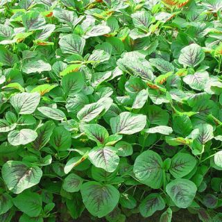 ALL_catalog_24G24_IxSOOiWVXu