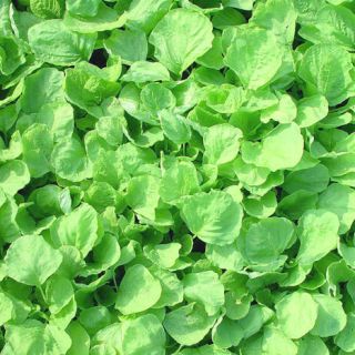 ALL_catalog_24G24_LgwYUZQVqF