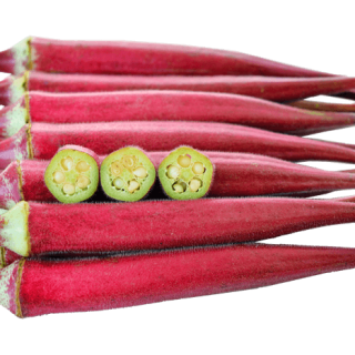 ALL_catalog_24G24_Lp5kF1Foqm