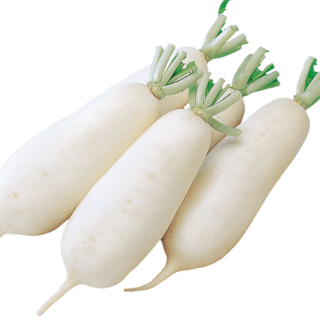 ALL_catalog_24G24_MMKs30Xw23