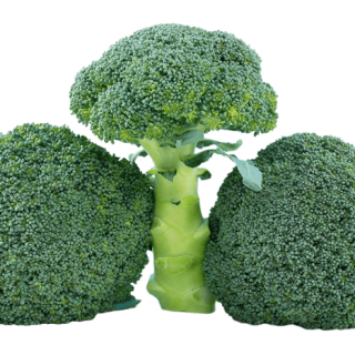 ALL_catalog_24G24_O3Cxj9bdYk