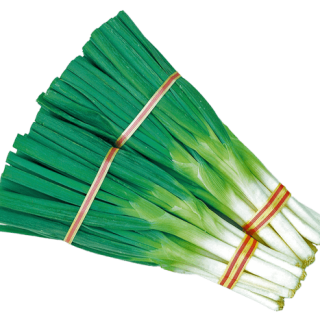 ALL_catalog_24G24_QQDW8GKNTX