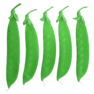 ALL_catalog_24G24_Sodu3eDNfE