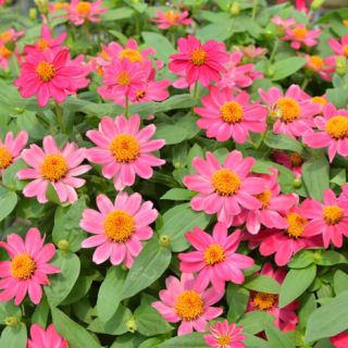 ALL_catalog_24G24_Stik4KZjTN