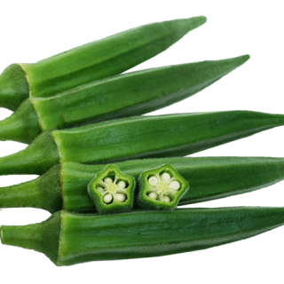 ALL_catalog_24G24_THzncfR38v