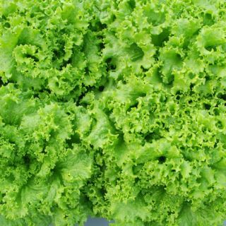 ALL_catalog_24G24_TlL9V7oER2