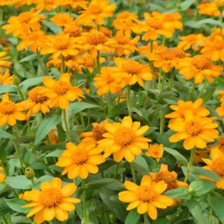 ALL_catalog_24G24_USIH0Q89vU