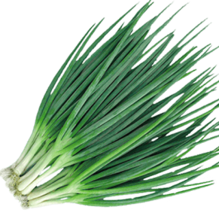 ALL_catalog_24G24_Vh4l0YRCDe