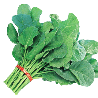 ALL_catalog_24G24_WunLZfMSrx