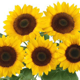 ALL_catalog_24G24_X9H3kdBdHy