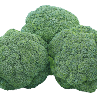 ALL_catalog_24G24_d8e2gEl4w6