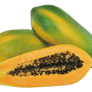 ALL_catalog_24G24_fMvs43pVep