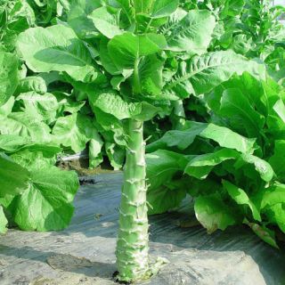 ALL_catalog_24G24_hdLqx4jILh