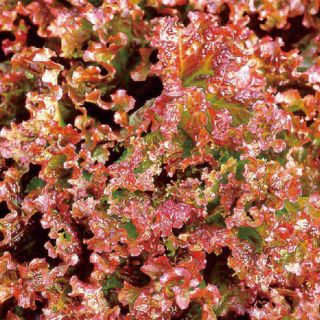 ALL_catalog_24G24_i7MWnQ6CR1