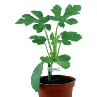 ALL_catalog_24G24_k3d4PTUl33