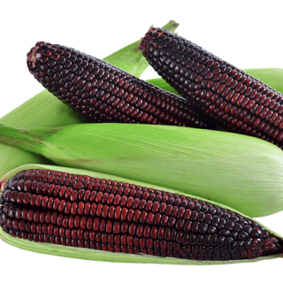 ALL_catalog_24G24_moWicsE6TI