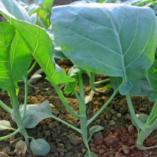 ALL_catalog_24G24_pTDg8MPc7v