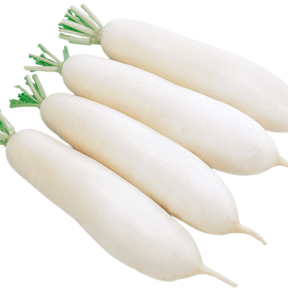 ALL_catalog_24G24_qiHinQgWDB